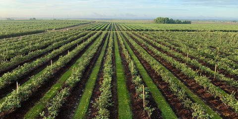 Cover photo for Maine Agricultural Development Grant